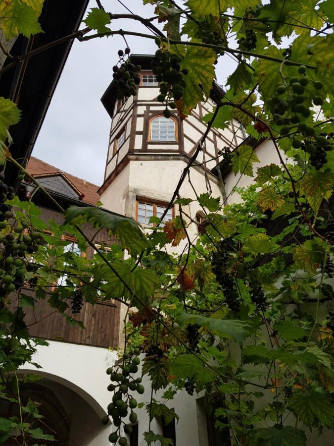 Hotel Restaurant Toscana Naumburg Naumburg  Exteriér fotografie